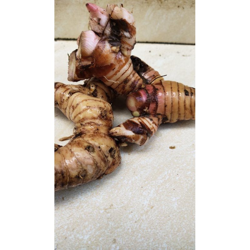 

lengkuas 500gram