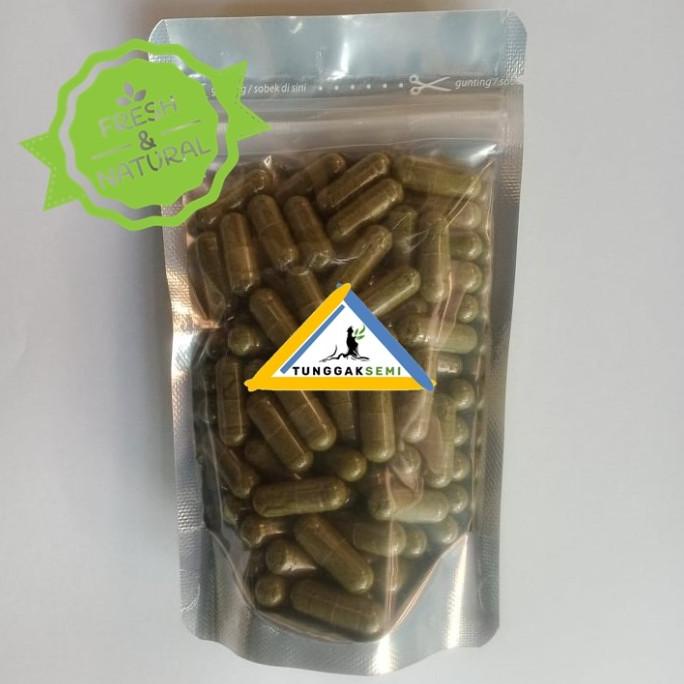 Kuda Laut 100 Kapsul Libido Booster Jamu Kuat Pria Vitalitas Ed