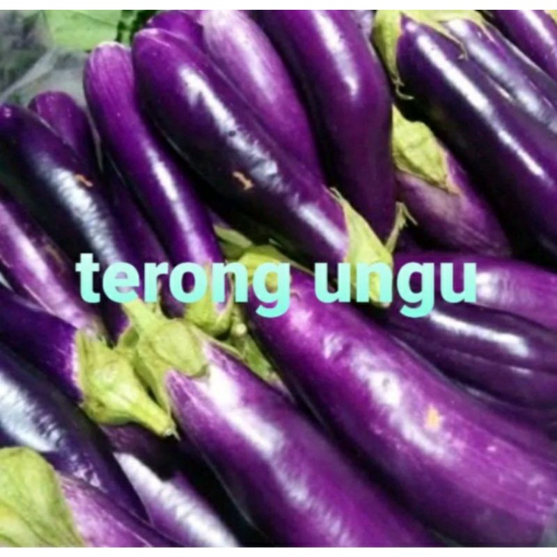 

Terong ungu 500grm