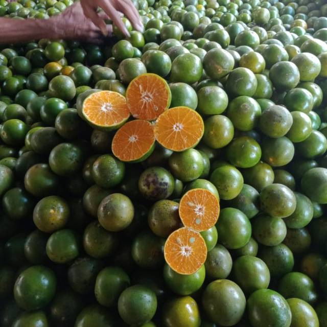 

Jeruk kalimantan