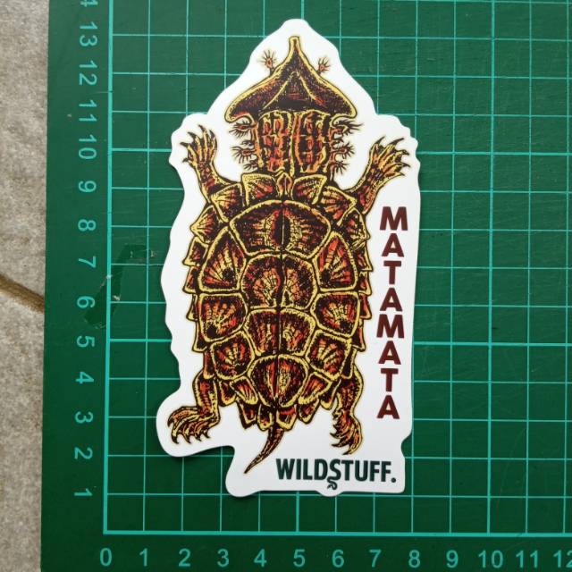 Sticker Wildstuff - Matamata turtle mata-mata chelus fimbriatus