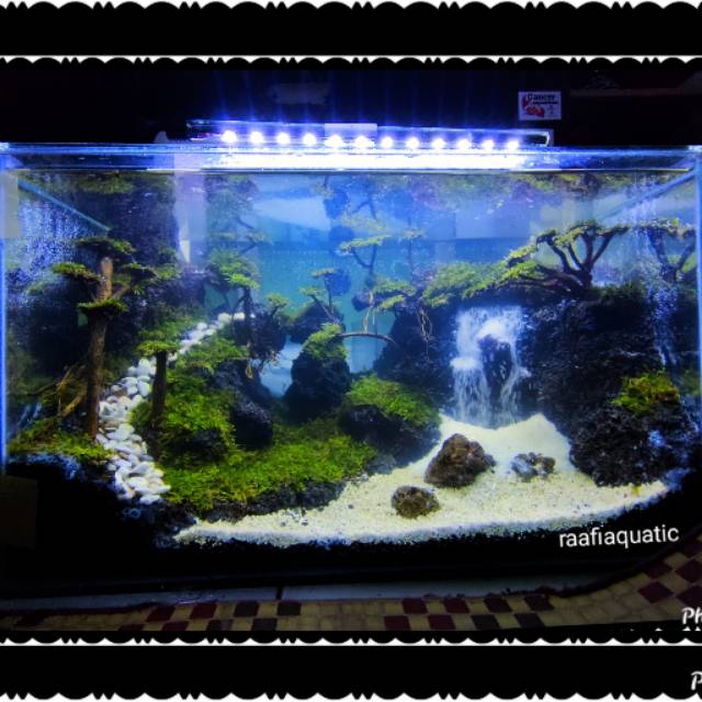 aquarium aquascape air terjun