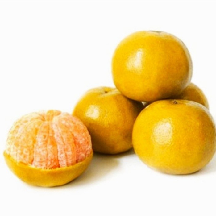 

BUAH JERUK MEDAN SEGAR FRESH 500gr