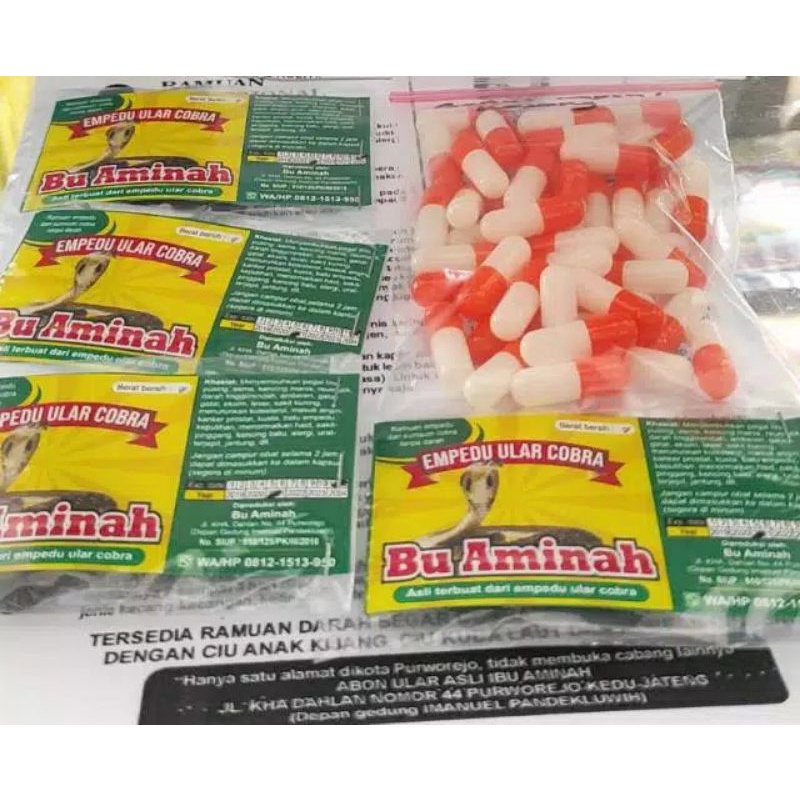 Empedu Ular KING COBRA ASLI "Bu Amy" @Menyembuhkan Berbagai Penyakit Dalam