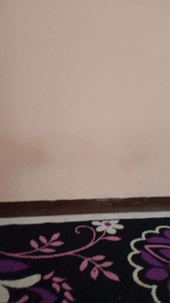 Pisau Dapur Panjang 21 Cm /pisau Masak /pisau Kupas Kulit Buah Sayur Tajam