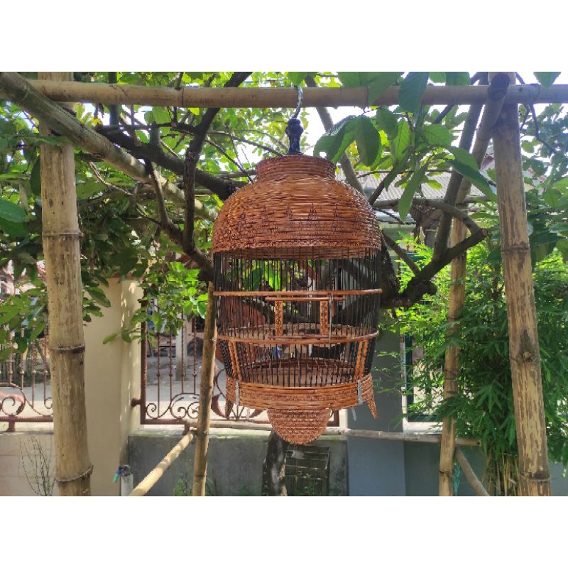 sangkar perkutut rotan alam finishing