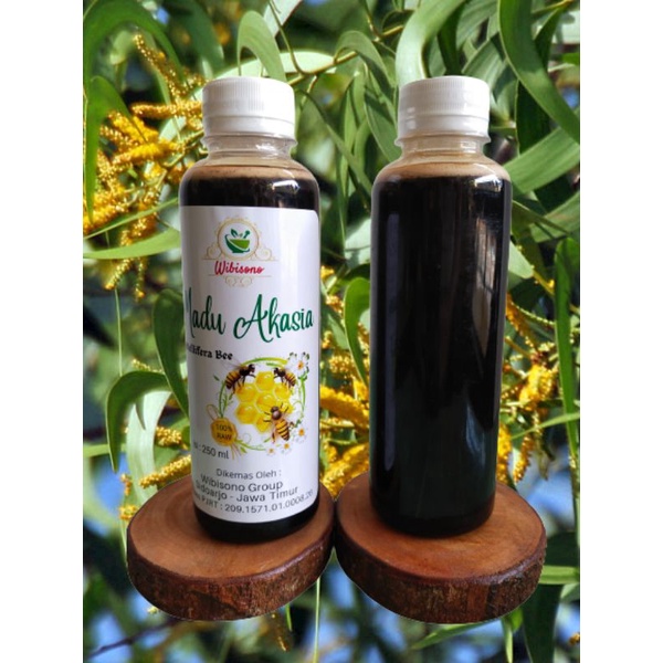 

madu akasia