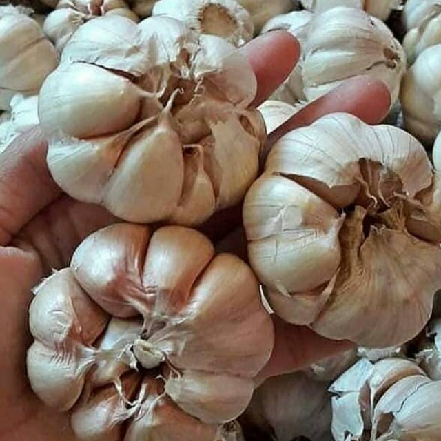 

Bawang putih murah 1 kg