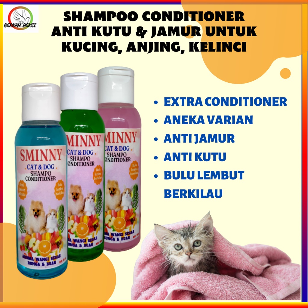 SHAMPO KUCING ANJING ANTI JAMUR KUTU SHAMPO AROMA WANGI BUAH DAN BUNGA