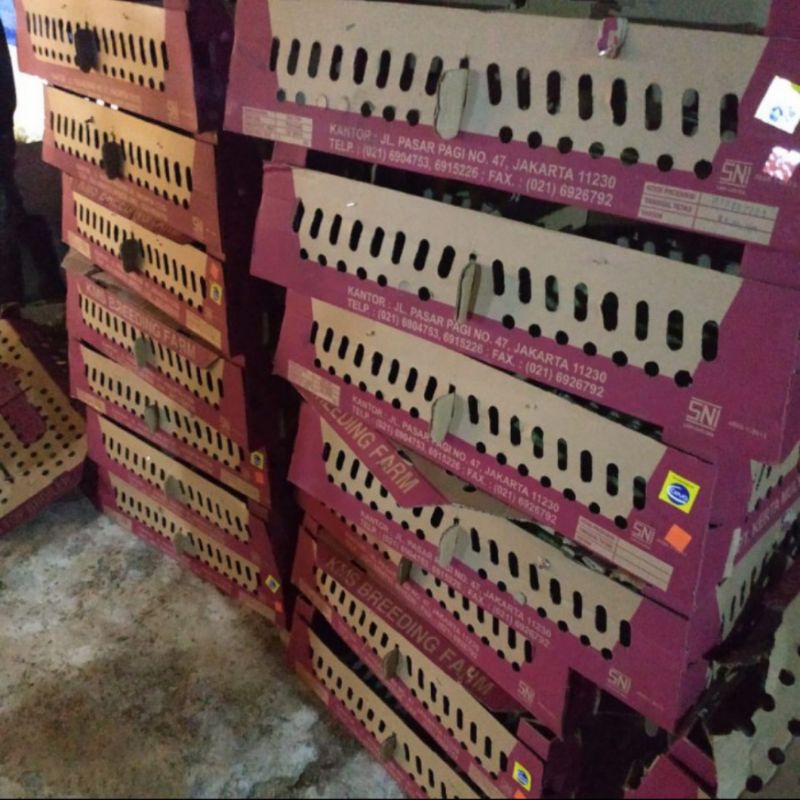 Doc Broiler grade A ( 102 ekor) 1box