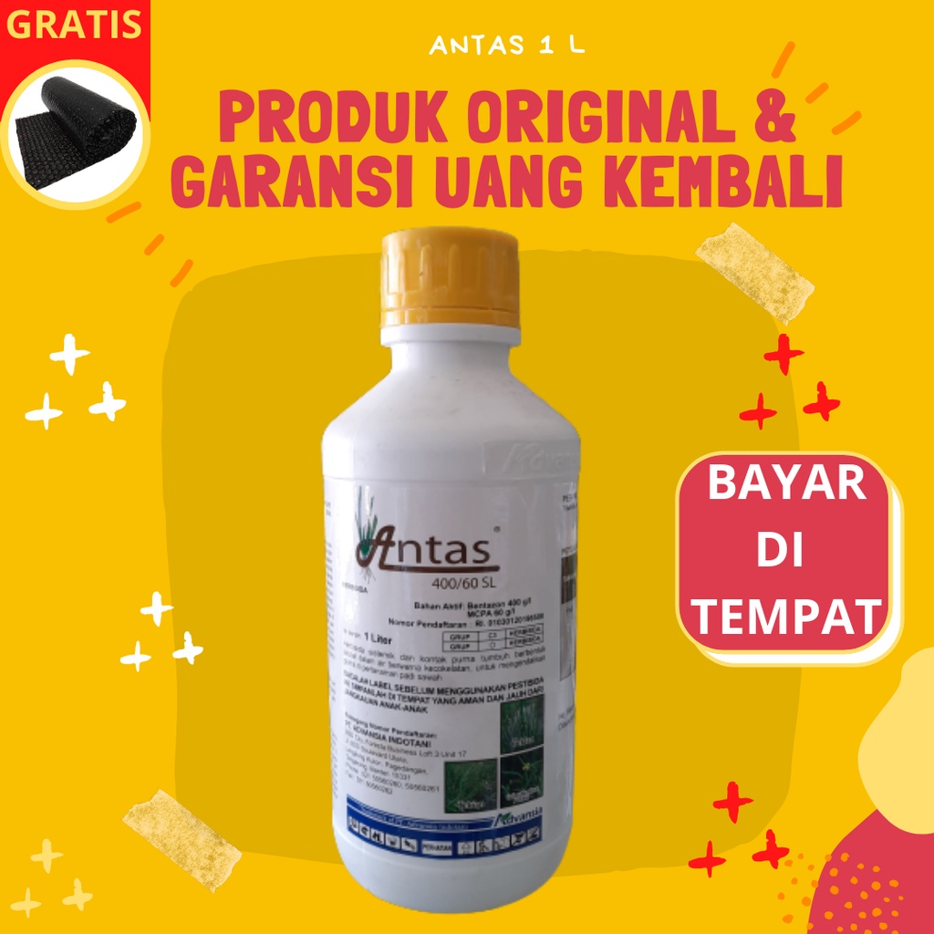 Herbisida Obat Pembasmi Rumput Padi Sawah Selektif ANTAS 400/60 SL