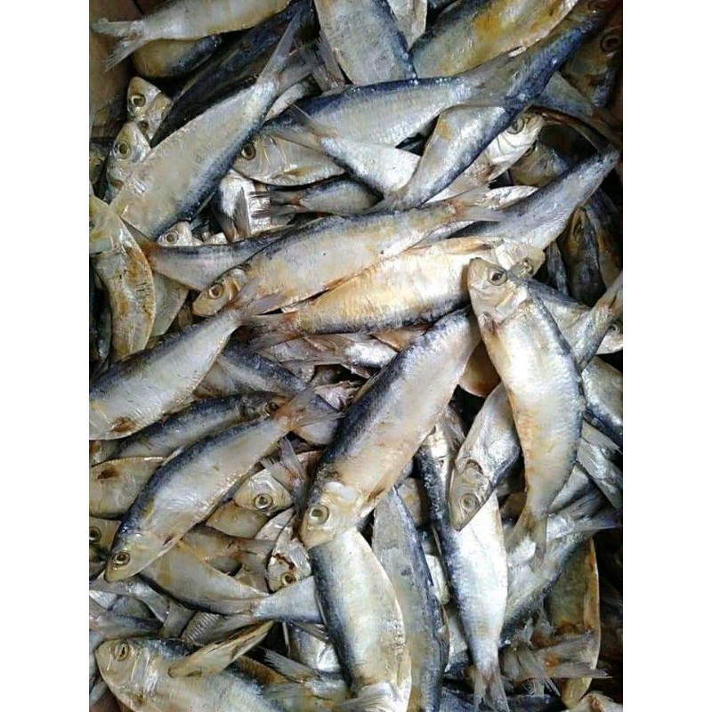 

ikan asin