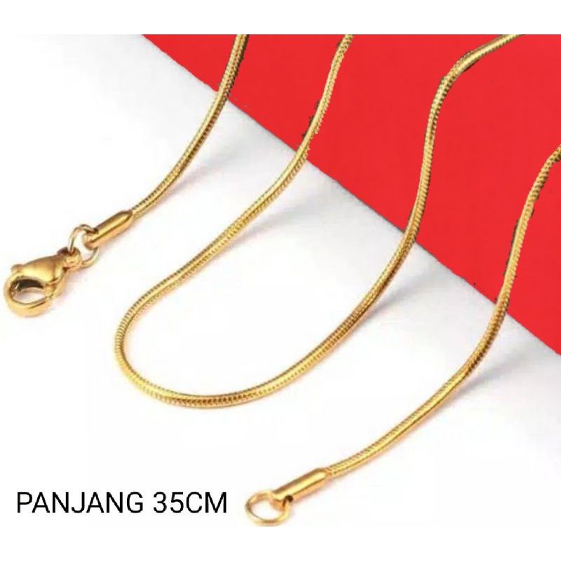 HOT PRODUK KALUNG ANAK TITANIUM MODEL BULAT KECIL WARNA EMAS BAGUS