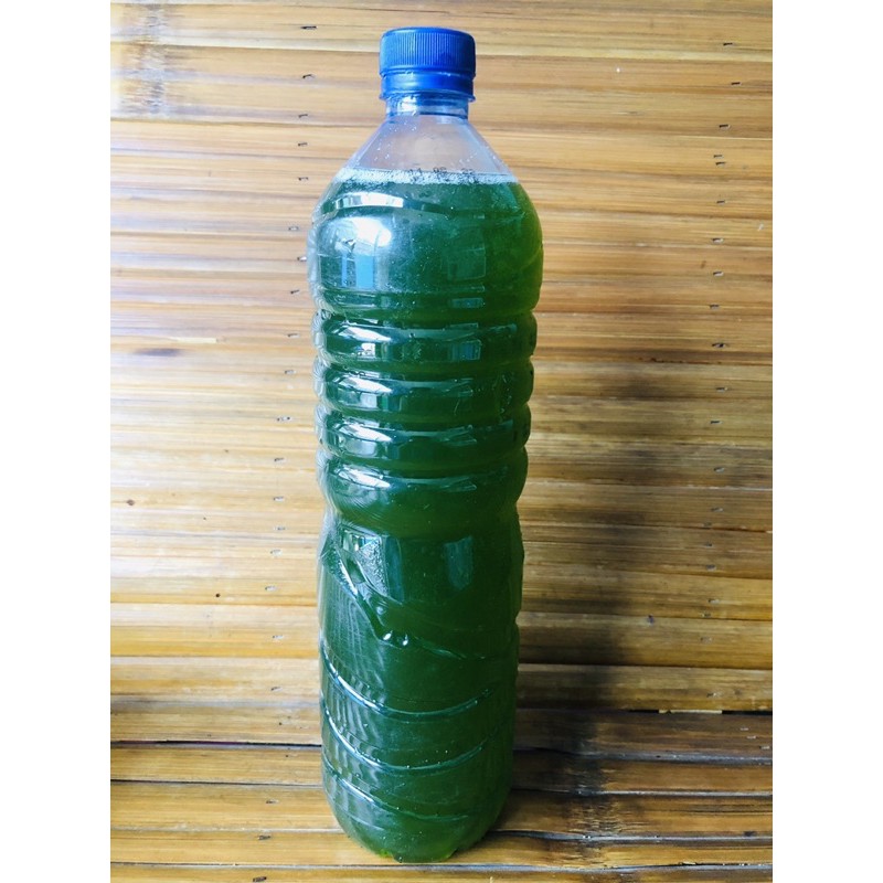 Air chlorella 1,5 liter botol besar