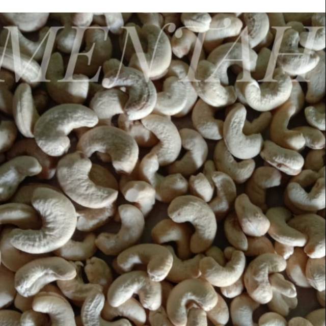 

KACANG METE mentah utuh Wonogiri