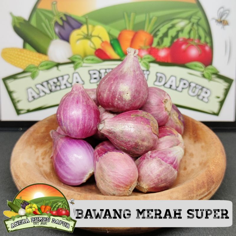 

bawang merah super