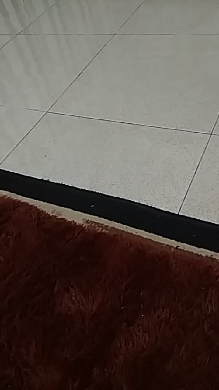 Rak Bawang Susun 2 Tutup (bisa Digantung) Ready Stock