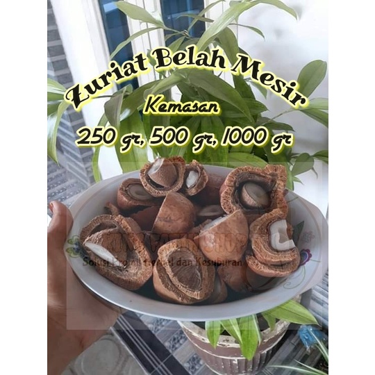 

Buah Zuriat Belahan Mesir Promil 1 Kg