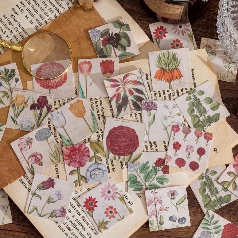 

Sticker Pack Vintage Flowers Isi 46 Lembar Aesthetic Scrapbook