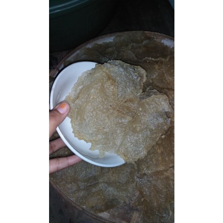 

KERUPUK/KRECEK PULI BERAS ASLI NGANJUK MURAH KRIUK HALAL