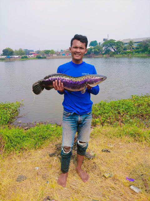 Paket Lip Grip Dan Tang T-bar