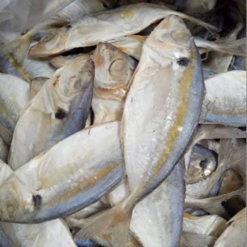 

ikan asin selar 500 g murah