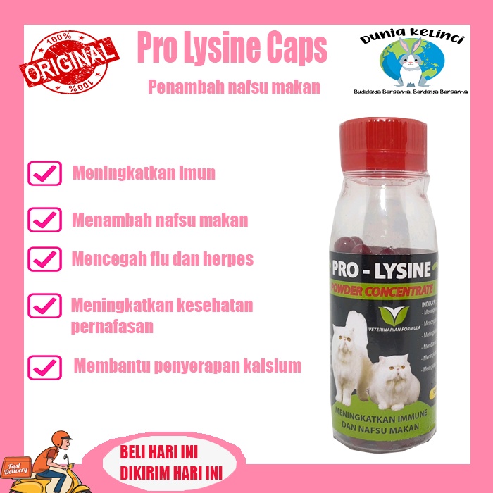 NAFSU MAKAN KUCING PRO LYSINE CAPS VITAMIN IMUNITAS KUCING