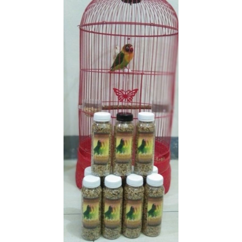 

3BAYANGAN