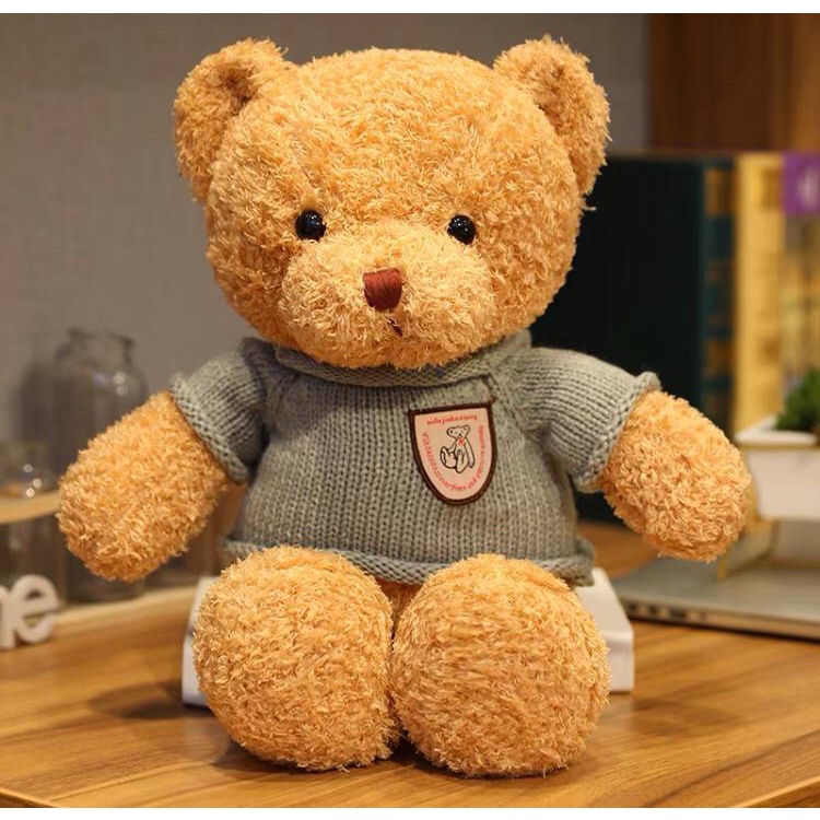 BONEKA TEDDY BEAR TED BERUANG FLUFFY