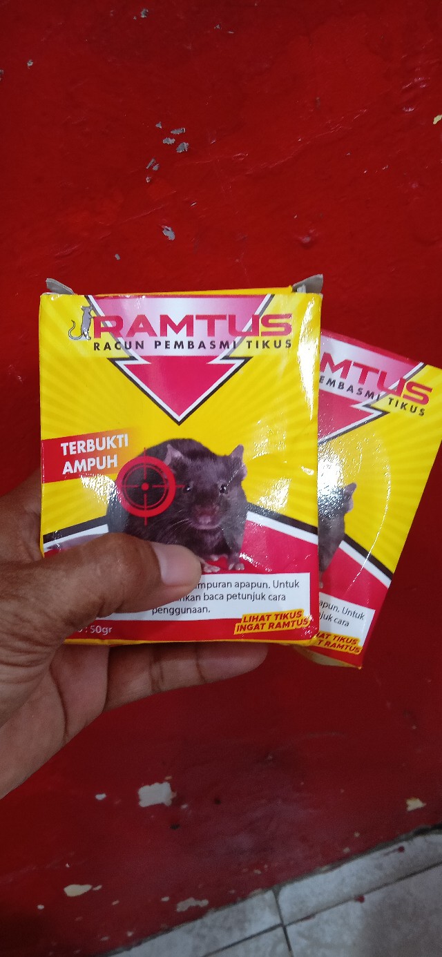 Umpan Perangkap Racun Tikus Massal Terbaik Paling Ampuh Mati Kering Tanpa Bau Basmi Ditempat