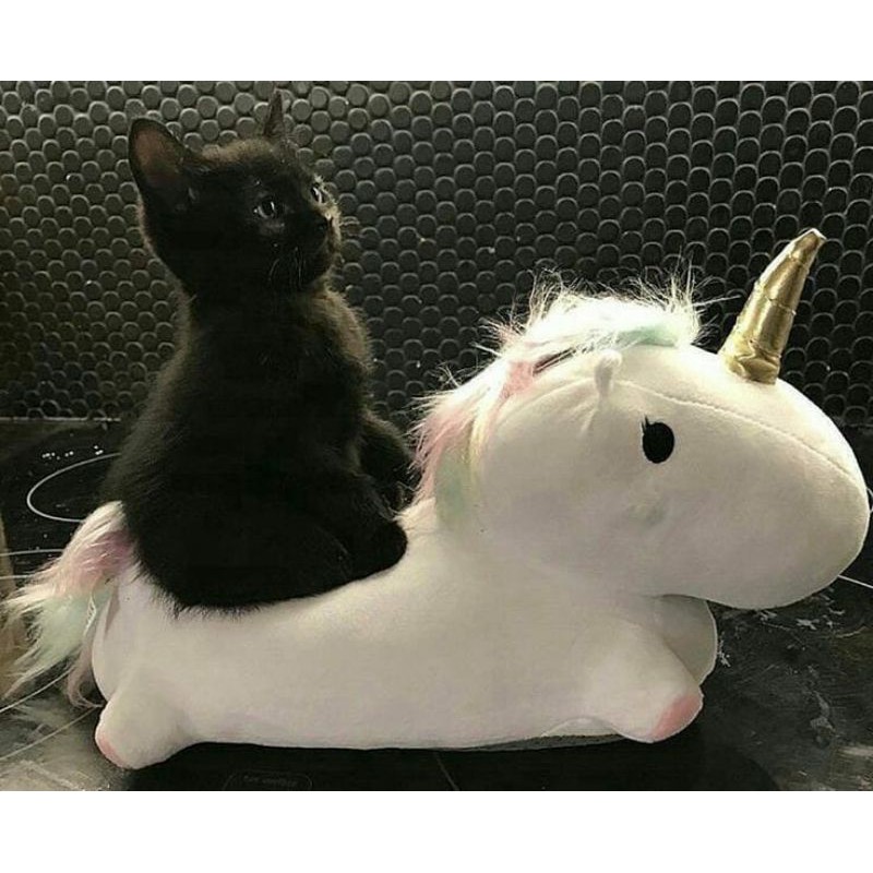 

buat co hihi