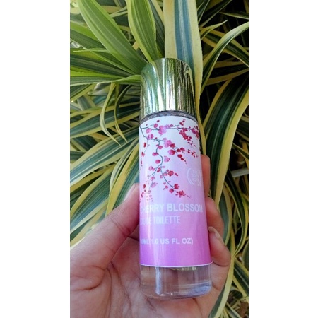 parfum chery Blosom 35ml original termurah