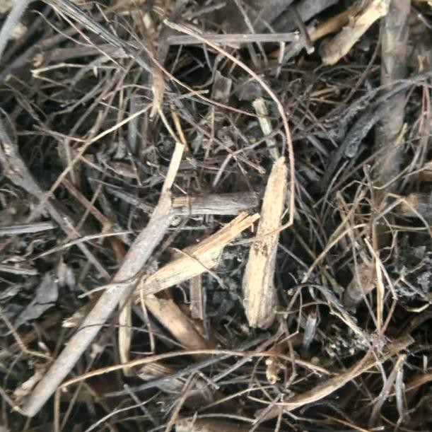 

[KODE 4] Kaliandra penggemuk anggrek 500gr