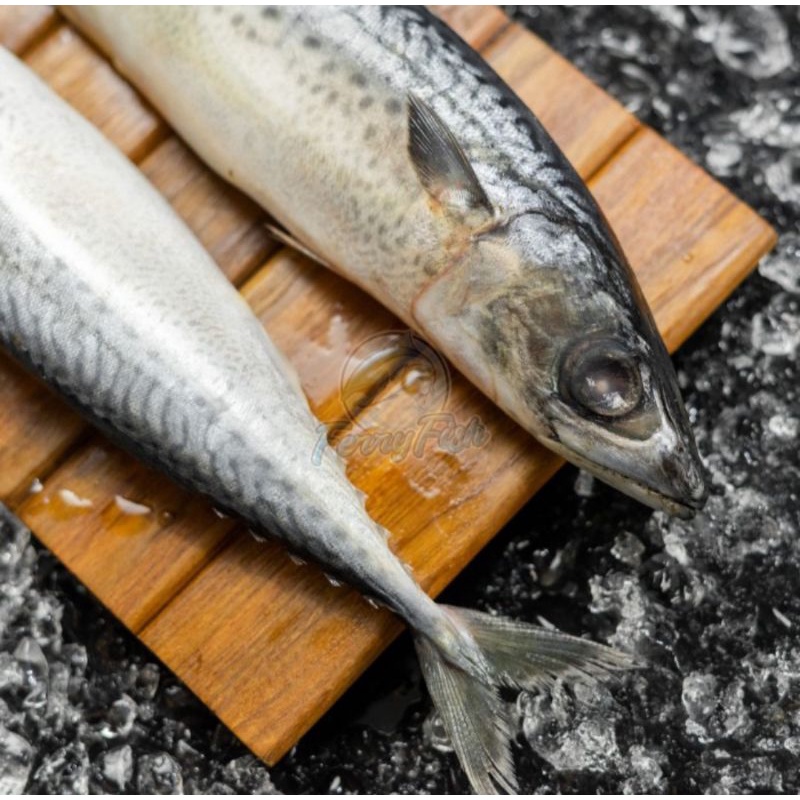 

Ikan Saba Whole Norwegian Frozen