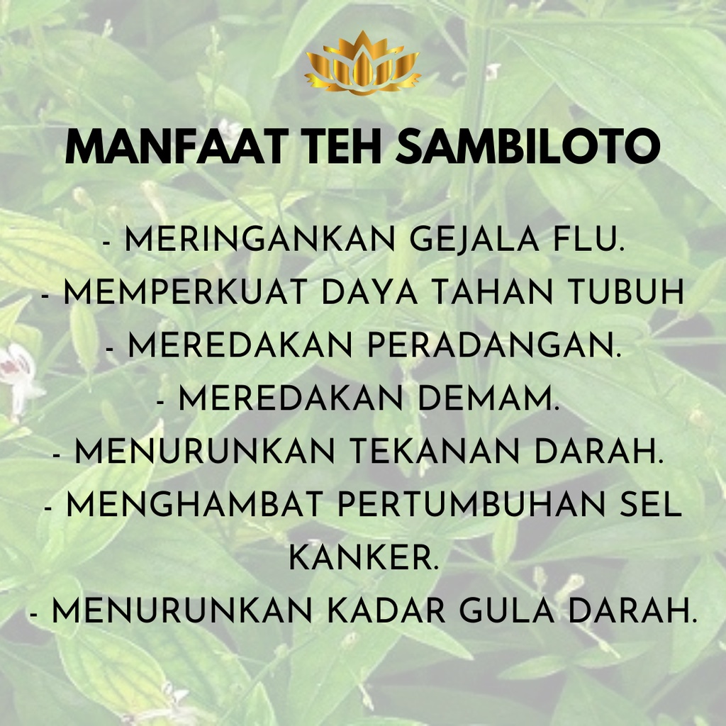 sambiloto herbal kemasan 100g