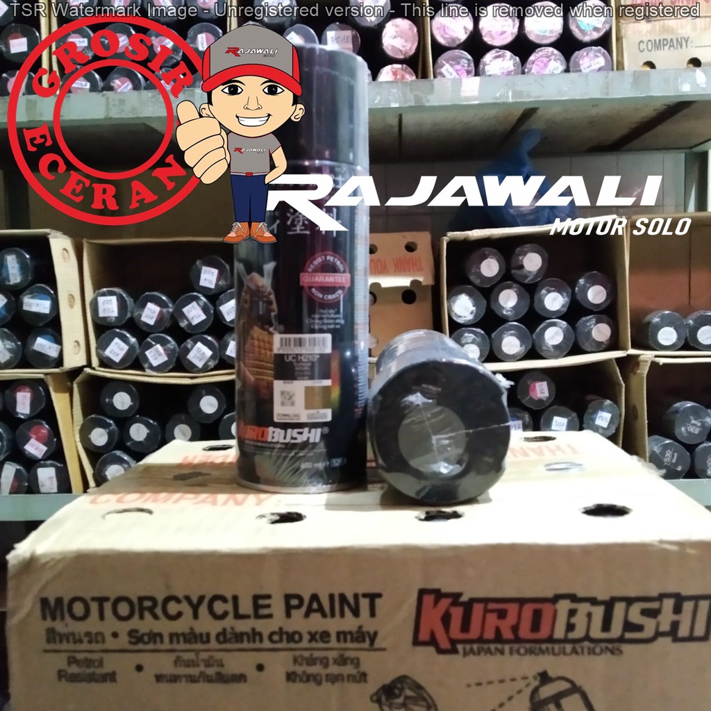 CAT SAMURAI PAINT (UCH210)