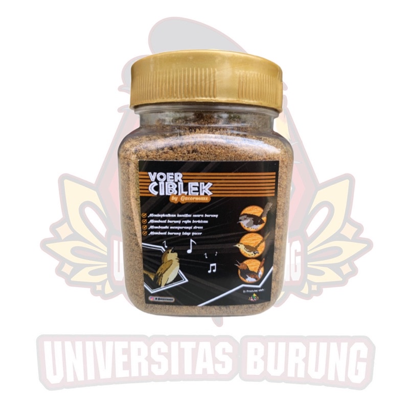 voer ciblek gacormaxx protein tinggi untuk cigun prenjak dan burung kecil pemakan voer