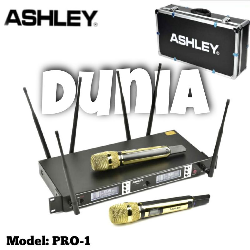 Ds microphone Mic Wireless Ashley PRO 1 (Handheld)