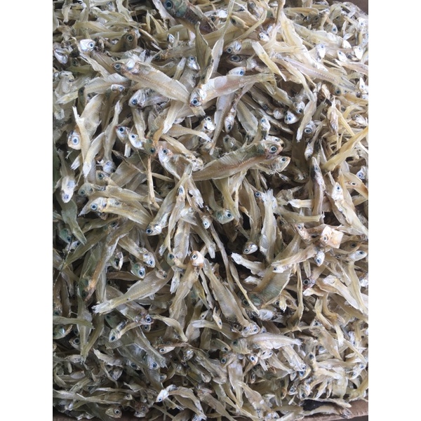 

1 KG ikan teri bunga tawar asli sibolga fresh new terbaik