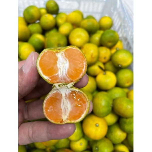 

Jeruk santang madu|nuri fruits|buah segar bandung|jeruk santang madu|jeruk santang madu