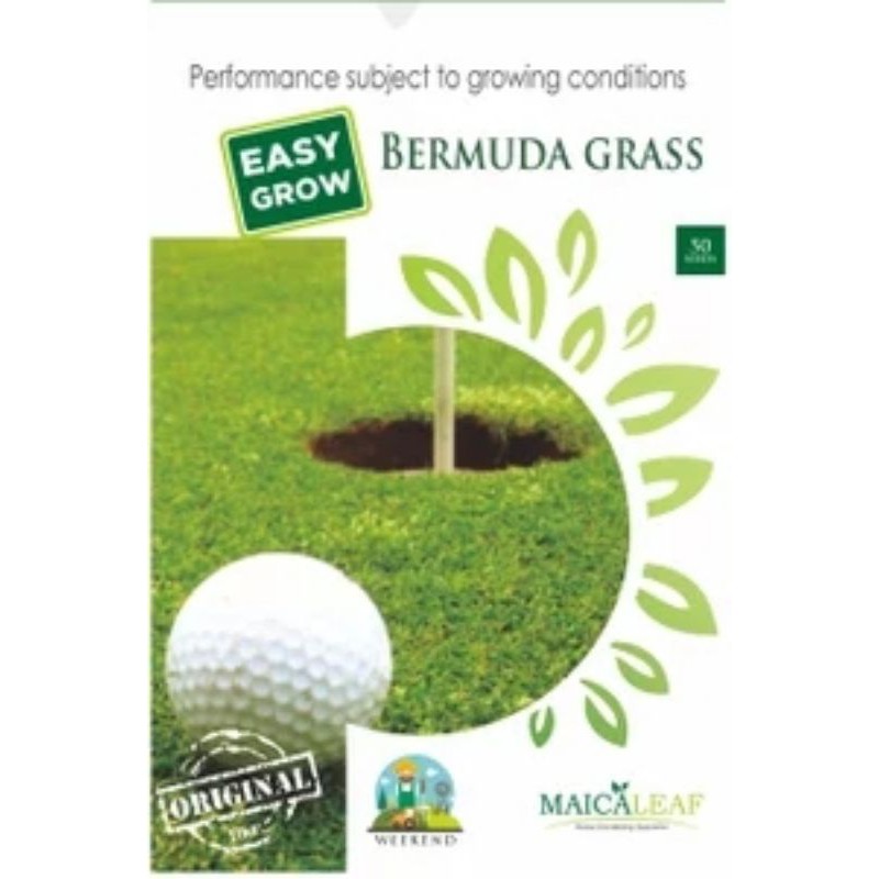 RUMPUT GOLF Bermuda Grass
