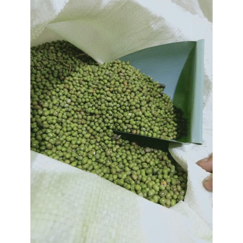 Kacang Hijau Import Birma India Asli 1 Kg kilogram Fresh!!!