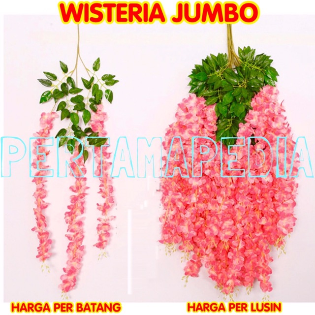 Fantastis 24 Gambar Bunga Wisteria Gambar Bunga Indah