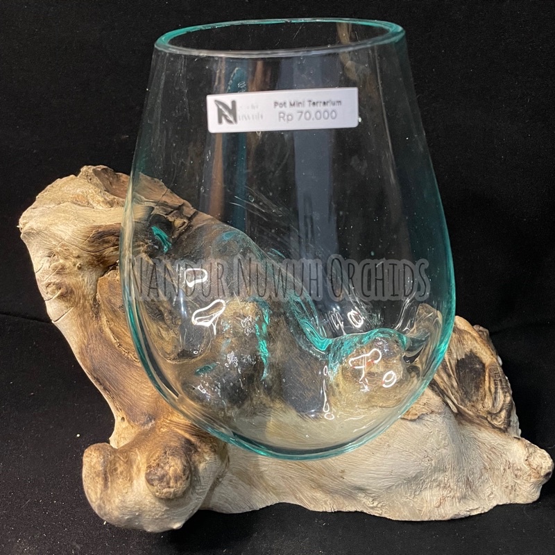 Pot Kaca Mini Aquarium | Mini Terrarium
