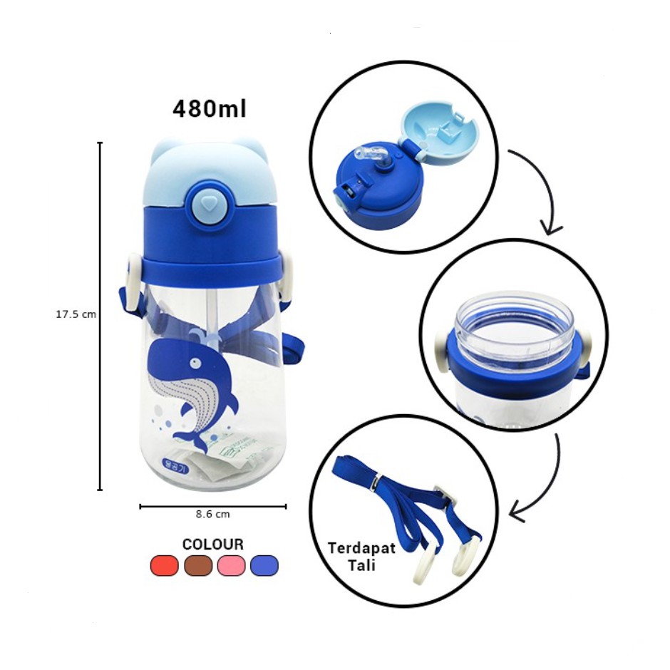 Botol Minum Anak Lucu Motif Bear 480ml - Botol Minum H332