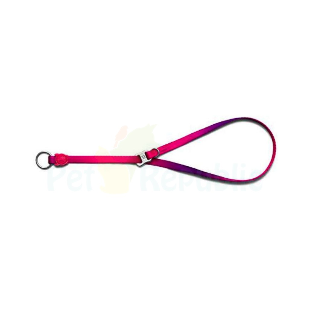 

ZEEDOG Kalung Anjing Premium Obedience Collar SKULL