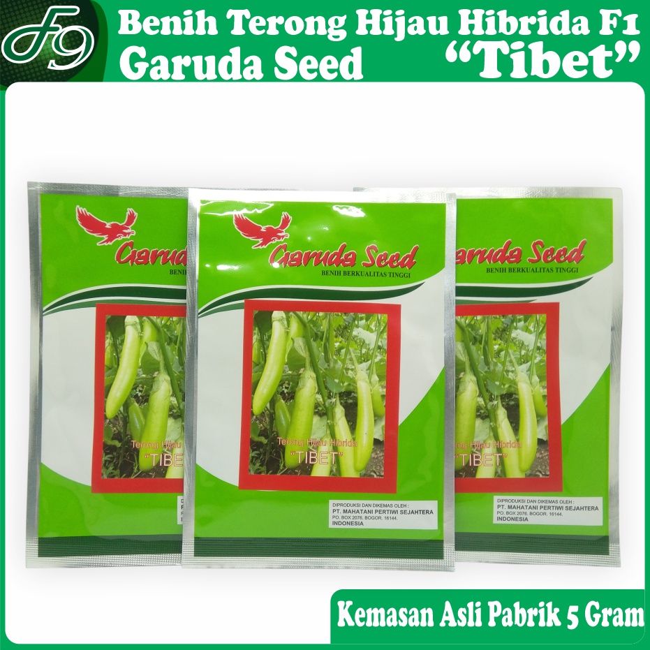 Benih Bibit Terong Hijau Hibrida F1 Tibet Garuda Seed Kemasan Pabrik 5 Gram