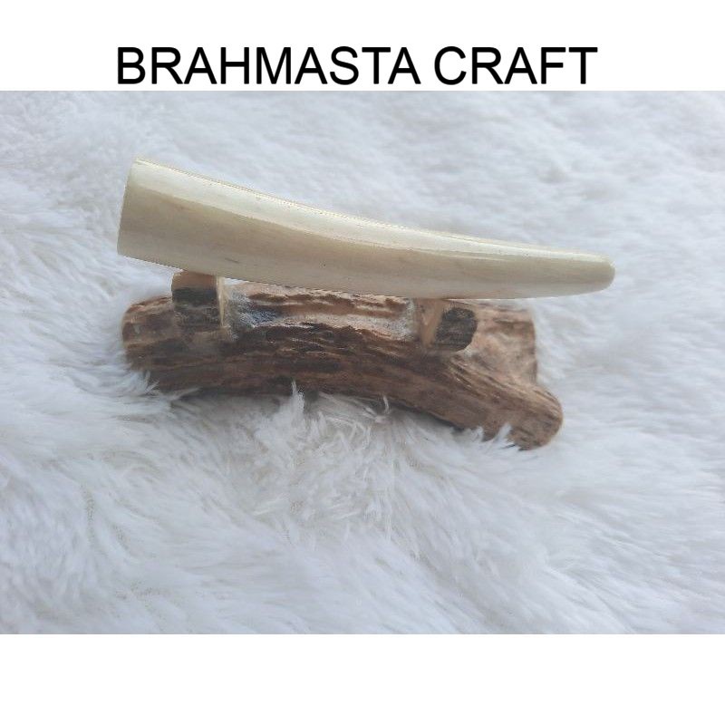 grosir pipa Once Tulang Iga Duyung  kwalitas terjamin