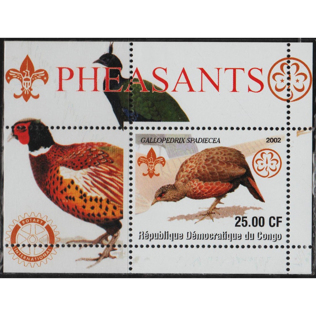

Perangko Filateli A5-94 Congo MNH Cinderella Miniature Sheet 2002 Bird