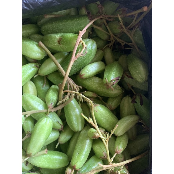 belimbing wuluh segar 1kg